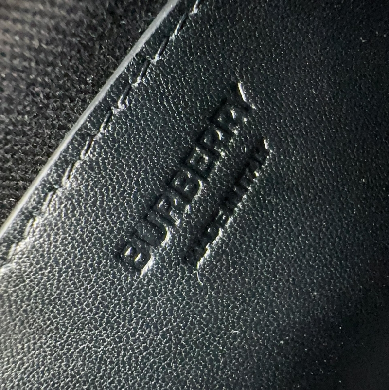 Bv*b*rry camera bags